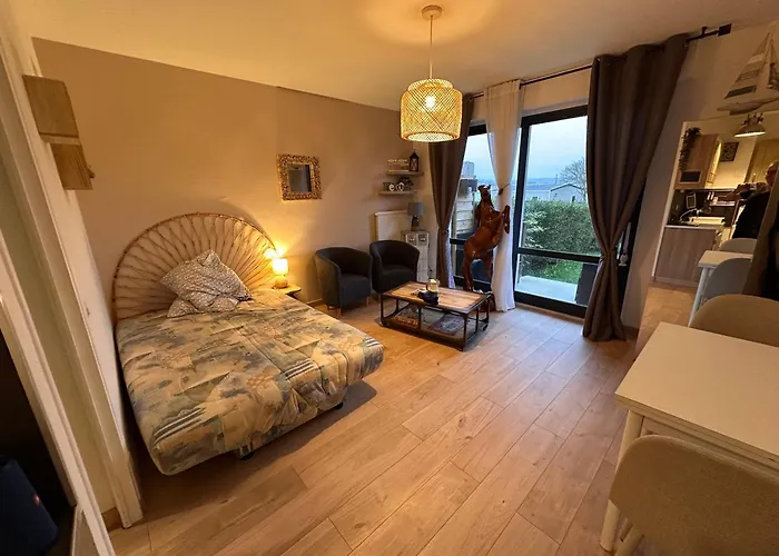Studio avec rez-de-jardin bord de mer
